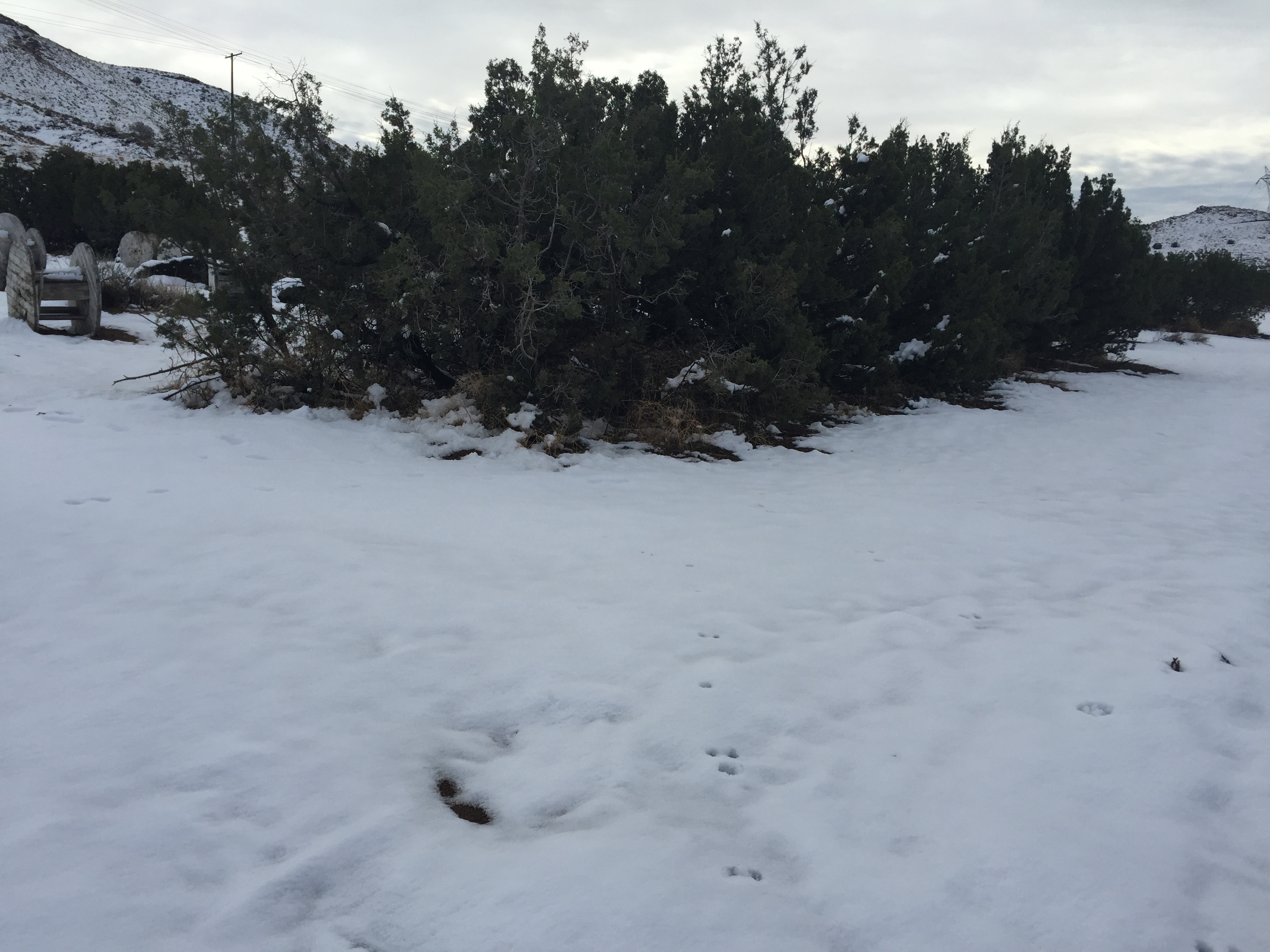 Snow on the playing fields at Paintball USA Nov. 2019