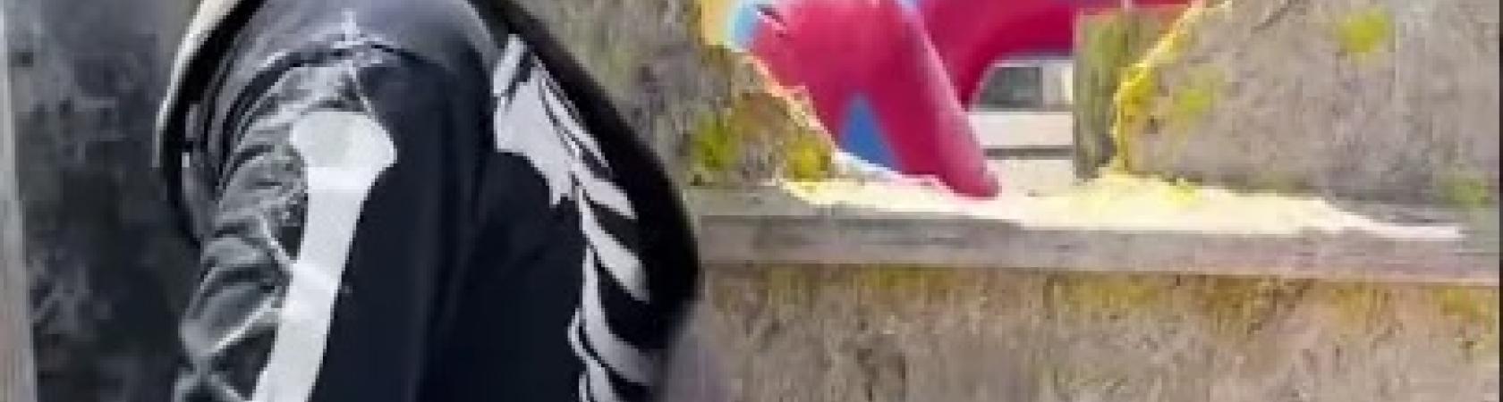 Paintball Soft for Beginner Players