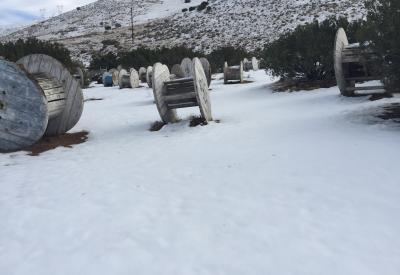 snowy fields