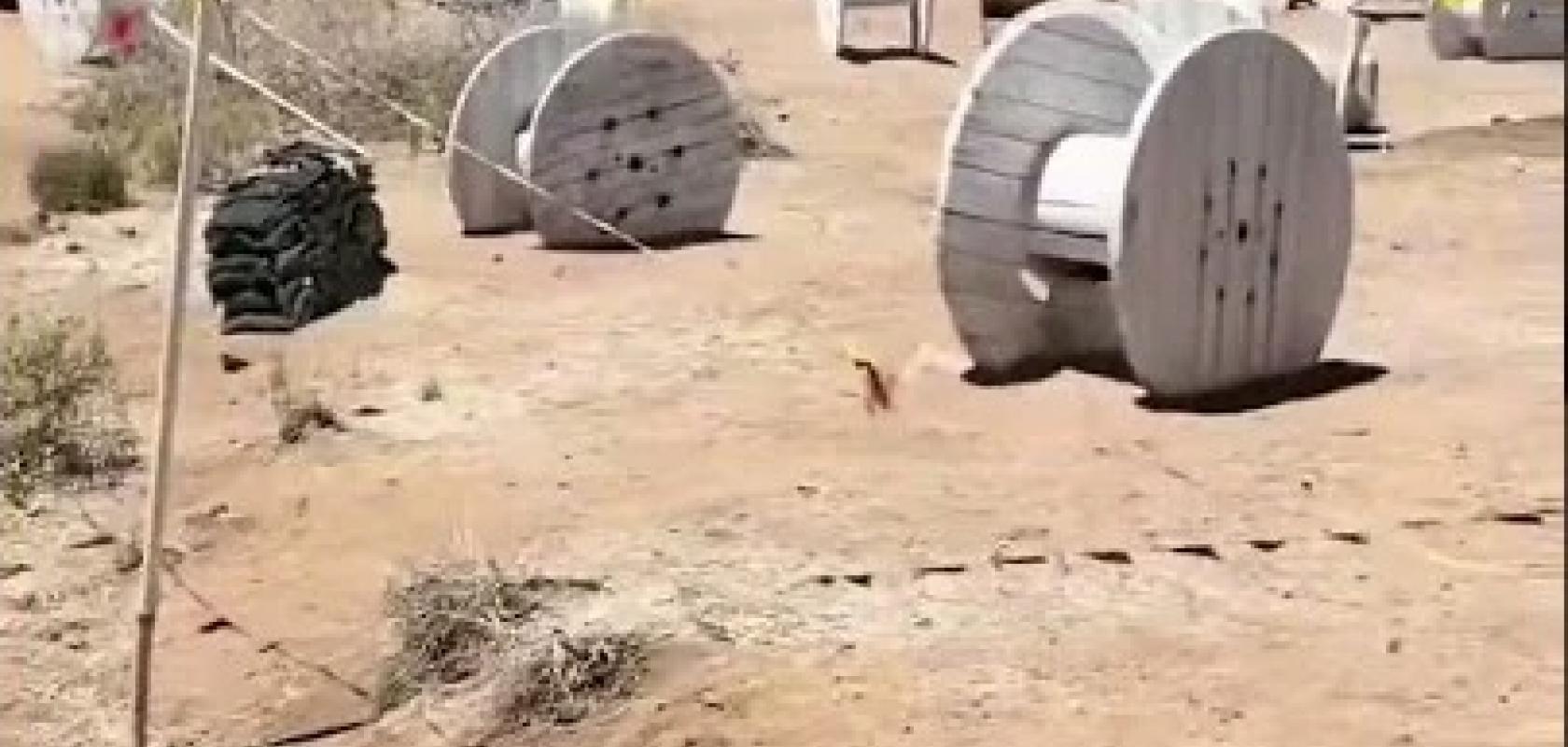 paintball park near me